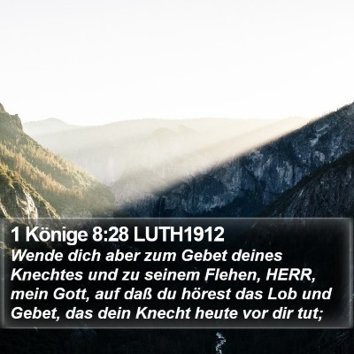 1 Könige 8:28 LUTH1912 Bible Verse Image