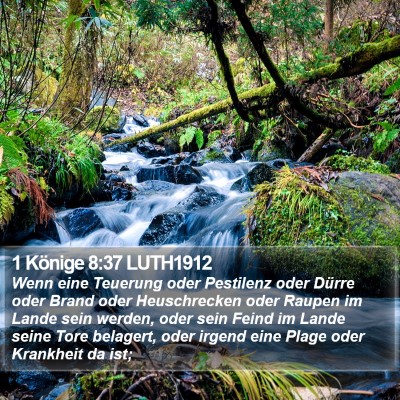 1 Könige 8:37 LUTH1912 Bible Verse Image