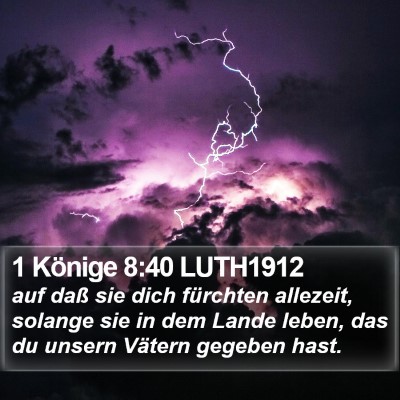1 Könige 8:40 LUTH1912 Bible Verse Image