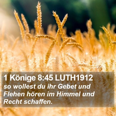 1 Könige 8:45 LUTH1912 Bible Verse Image