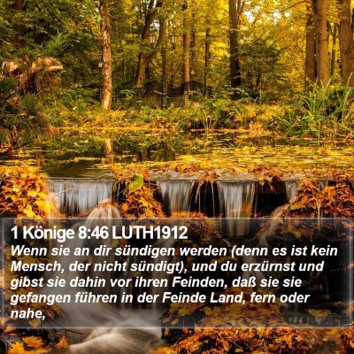 1 Könige 8:46 LUTH1912 Bible Verse Image