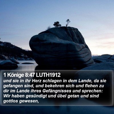1 Könige 8:47 LUTH1912 Bible Verse Image