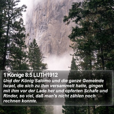 1 Könige 8:5 LUTH1912 Bible Verse Image