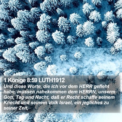 1 Könige 8:59 LUTH1912 Bible Verse Image