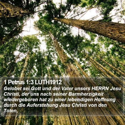 1 Petrus 1:3 LUTH1912 Bible Verse Image