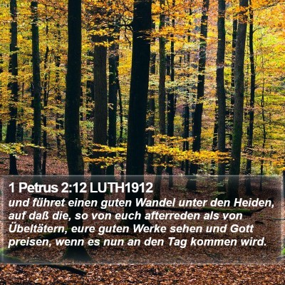 1 Petrus 2:12 LUTH1912 Bible Verse Image