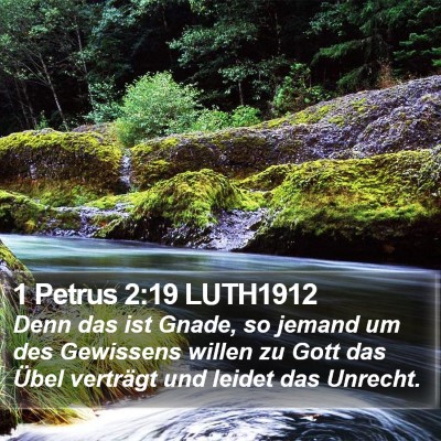 1 Petrus 2:19 LUTH1912 Bible Verse Image