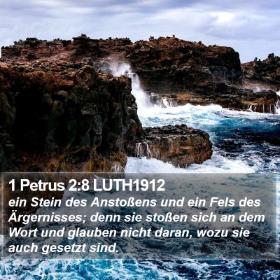 1 Petrus 2:8 LUTH1912 Bible Verse Image