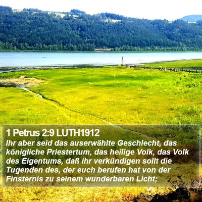 1 Petrus 2:9 LUTH1912 Bible Verse Image