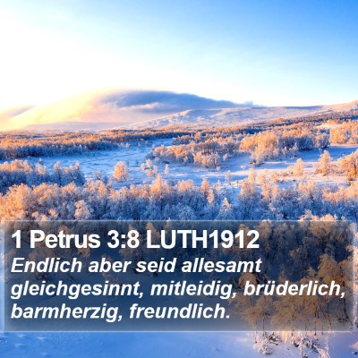 1 Petrus 3:8 LUTH1912 Bible Verse Image