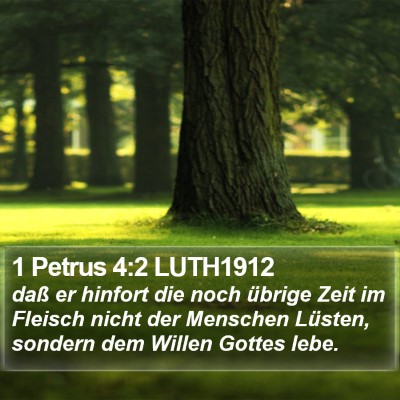 1 Petrus 4:2 LUTH1912 Bible Verse Image