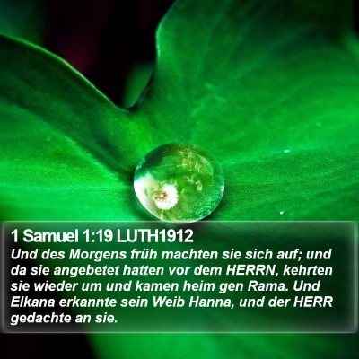 1 Samuel 1:19 LUTH1912 Bible Verse Image