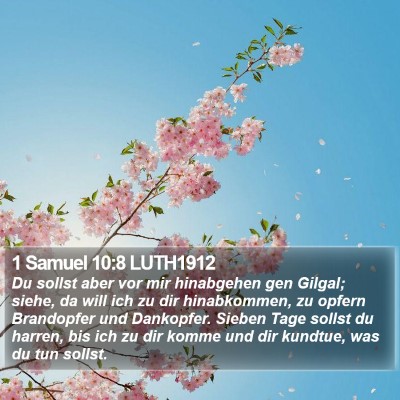 1 Samuel 10:8 LUTH1912 Bible Verse Image
