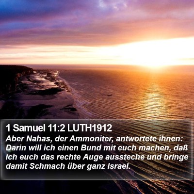 1 Samuel 11:2 LUTH1912 Bible Verse Image