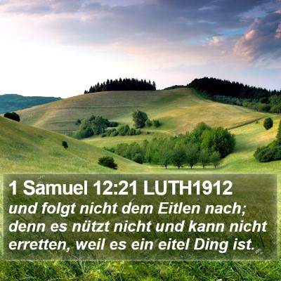 1 Samuel 12:21 LUTH1912 Bible Verse Image