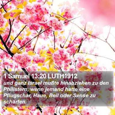 1 Samuel 13:20 LUTH1912 Bible Verse Image
