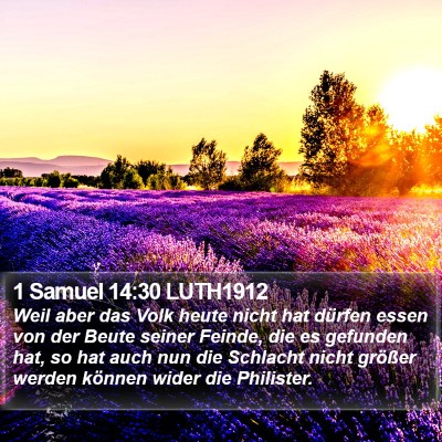 1 Samuel 14:30 LUTH1912 Bible Verse Image