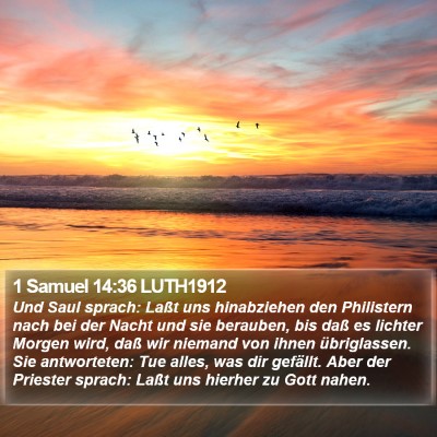 1 Samuel 14:36 LUTH1912 Bible Verse Image