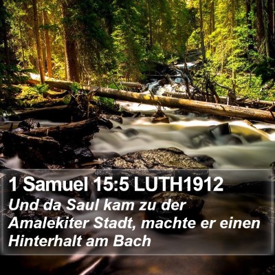 1 Samuel 15:5 LUTH1912 Bible Verse Image