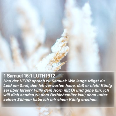 1 Samuel 16:1 LUTH1912 Bible Verse Image