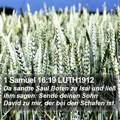 1 Samuel 16:19 LUTH1912 Bible Verse Image