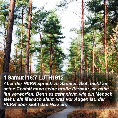 1 Samuel 16:7 LUTH1912 Bible Verse Image
