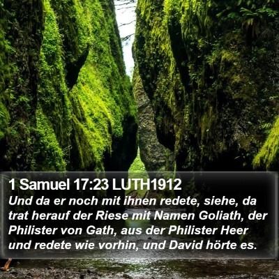 1 Samuel 17:23 LUTH1912 Bible Verse Image
