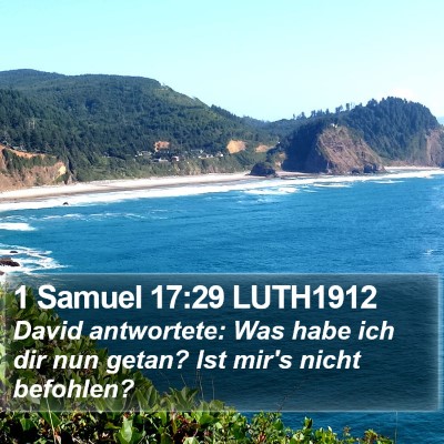 1 Samuel 17:29 LUTH1912 Bible Verse Image
