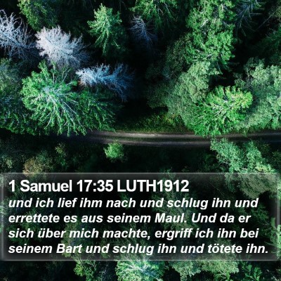1 Samuel 17:35 LUTH1912 Bible Verse Image