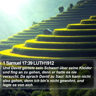1 Samuel 17:39 LUTH1912 Bible Verse Image