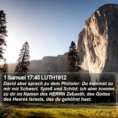 1 Samuel 17:45 LUTH1912 Bible Verse Image