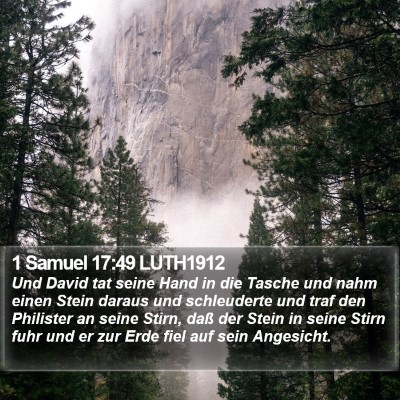 1 Samuel 17:49 LUTH1912 Bible Verse Image
