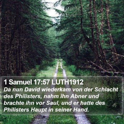 1 Samuel 17:57 LUTH1912 Bible Verse Image