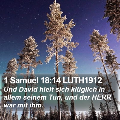 1 Samuel 18:14 LUTH1912 Bible Verse Image