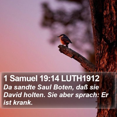 1 Samuel 19:14 LUTH1912 Bible Verse Image