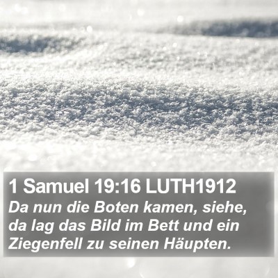 1 Samuel 19:16 LUTH1912 Bible Verse Image