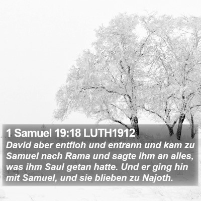 1 Samuel 19:18 LUTH1912 Bible Verse Image