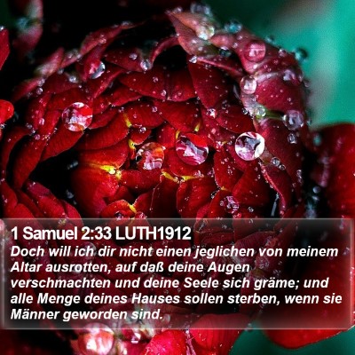 1 Samuel 2:33 LUTH1912 Bible Verse Image