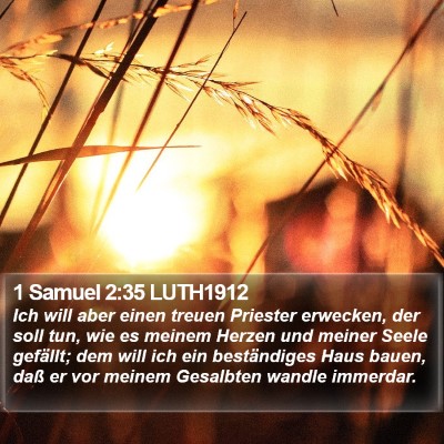 1 Samuel 2:35 LUTH1912 Bible Verse Image
