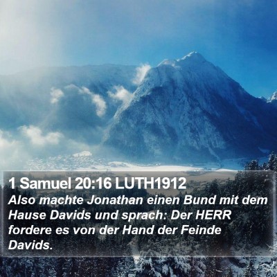 1 Samuel 20:16 LUTH1912 Bible Verse Image