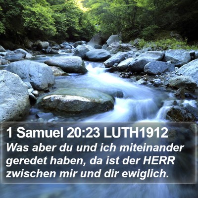 1 Samuel 20:23 LUTH1912 Bible Verse Image