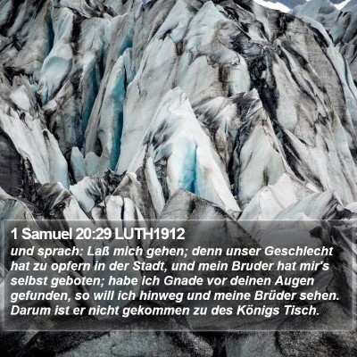 1 Samuel 20:29 LUTH1912 Bible Verse Image
