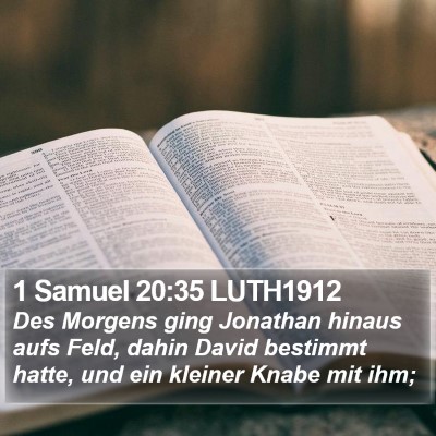 1 Samuel 20:35 LUTH1912 Bible Verse Image