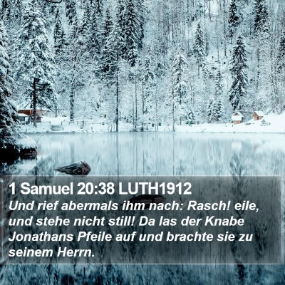 1 Samuel 20:38 LUTH1912 Bible Verse Image
