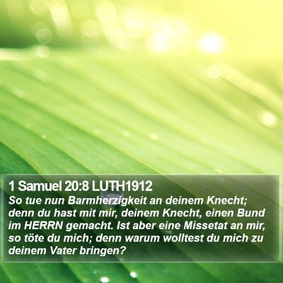 1 Samuel 20:8 LUTH1912 Bible Verse Image