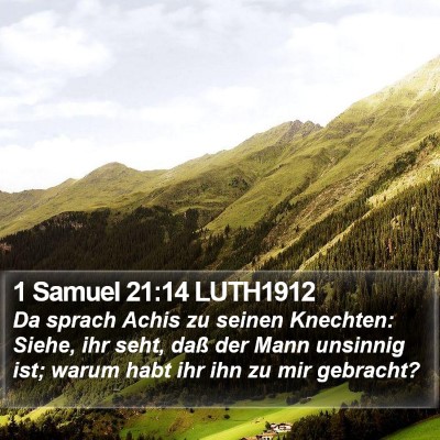 1 Samuel 21:14 LUTH1912 Bible Verse Image