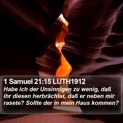1 Samuel 21:15 LUTH1912 Bible Verse Image