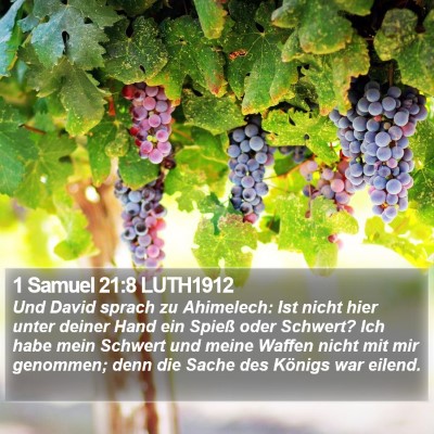 1 Samuel 21:8 LUTH1912 Bible Verse Image