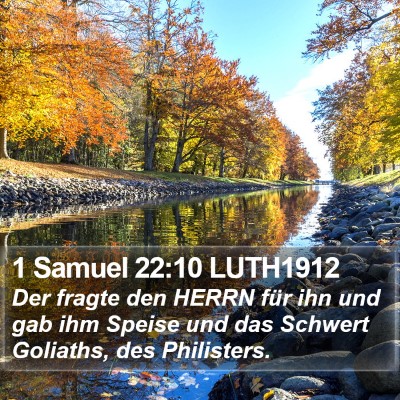 1 Samuel 22:10 LUTH1912 Bible Verse Image