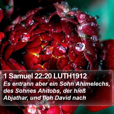 1 Samuel 22:20 LUTH1912 Bible Verse Image